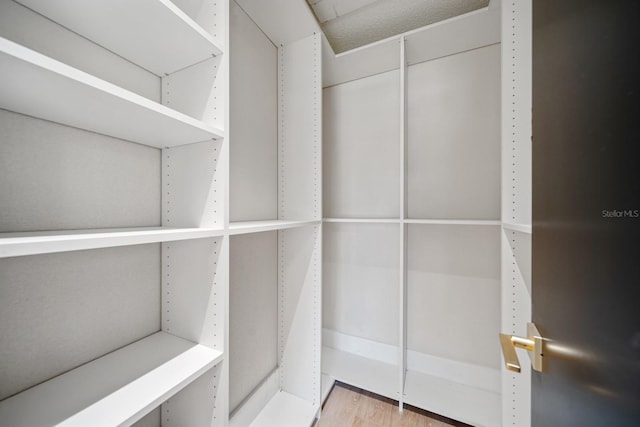 walk in closet with wood finished floors
