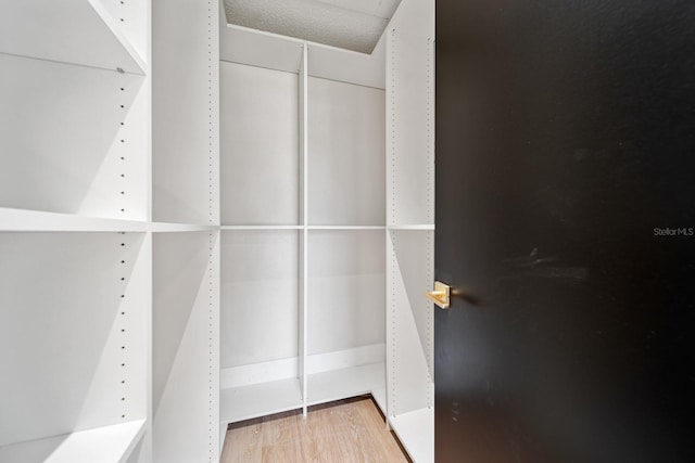 spacious closet featuring wood finished floors