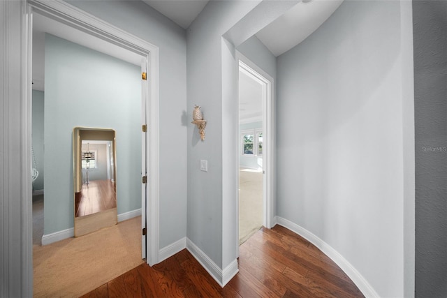 4105 W Corona St, Tampa, FL 33629 - photo 36