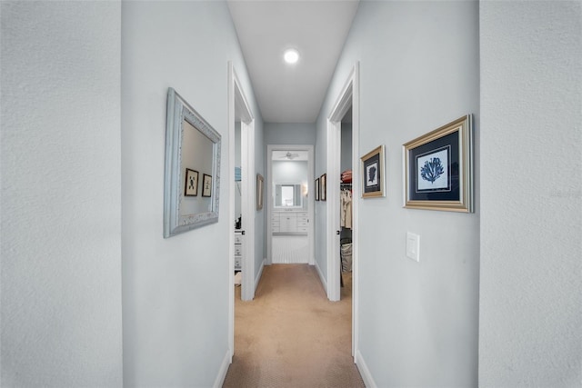 4105 W Corona St, Tampa, FL 33629 - photo 42