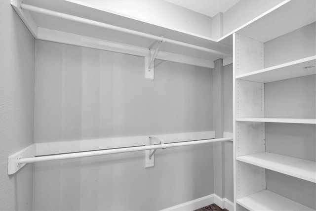 view of walk in closet