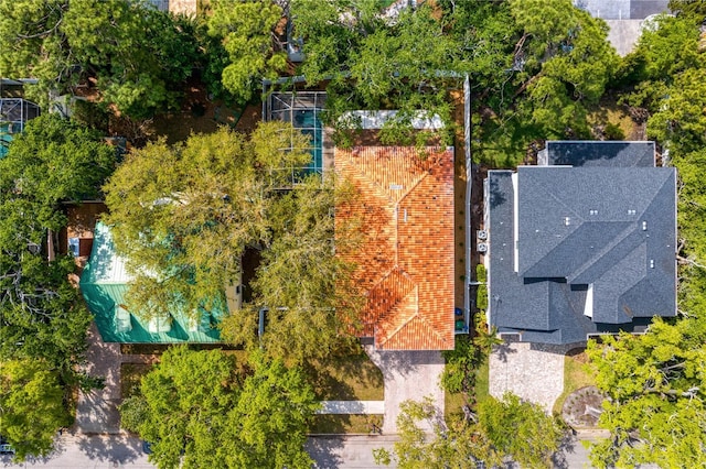 4310 W Sevilla St, Tampa, FL 33629 - photo 59