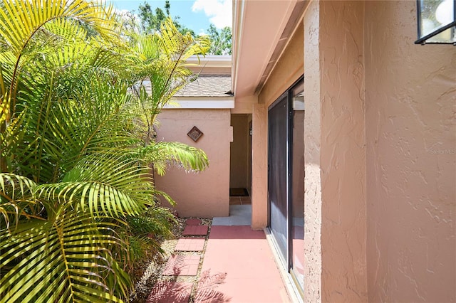 3103 Taragrove Dr, Tampa, FL 33618 - photo 22