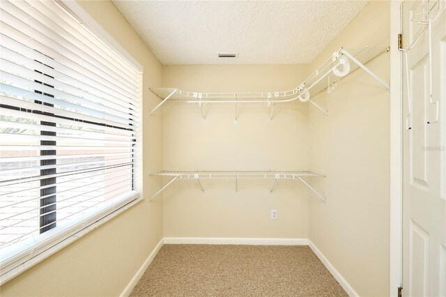 3103 Taragrove Dr, Tampa, FL 33618 - photo 57