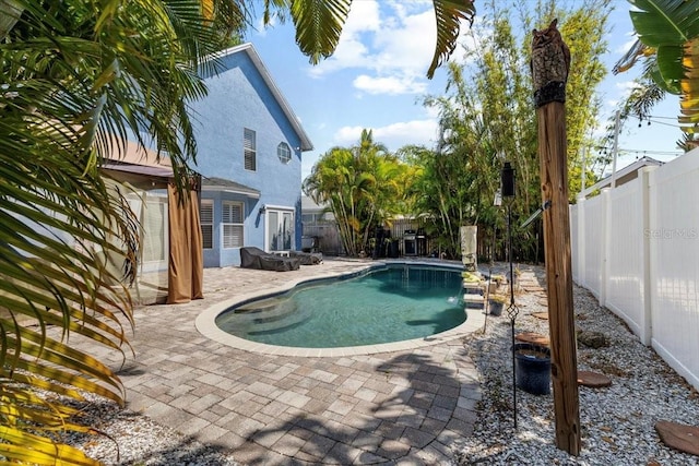 view of pool featuring a fenced in pool, a fenced backyard, and a patio area