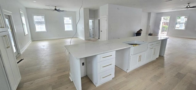 745 31st Ave N, Saint Petersburg, FL 33704 - kitchen with open floor plan, ceiling fan, and light wood-style floors