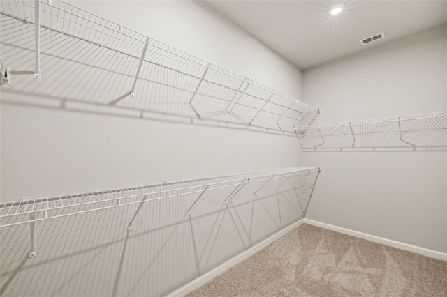 17800 Solstice Ave, Venice, FL 34293 - spacious closet with visible vents and carpet floors