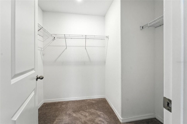 14050 Arbor Pines Dr, Riverview, FL 33579 - walk in closet with carpet