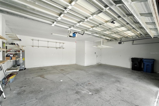 14050 Arbor Pines Dr, Riverview, FL 33579 - garage with water heater and a garage door opener