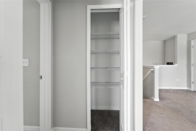14050 Arbor Pines Dr, Riverview, FL 33579 - view of closet