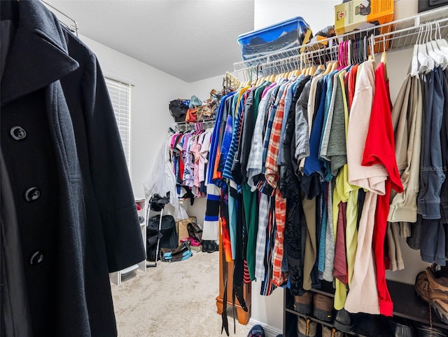 5946 81st Ave N, Pinellas Park, FL 33781 - walk in closet featuring carpet flooring