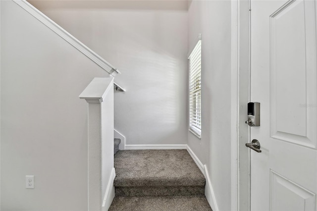 22287 Storybook Cabin Way, Land O Lakes, FL 34637