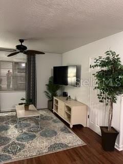 1190 Grove St, Clearwater, FL 33755 - photo 11