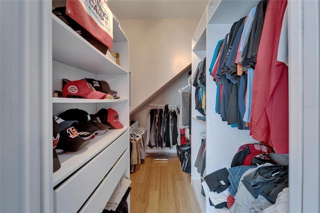 2510 Cross More St, Valrico, FL 33594 - spacious closet featuring light wood-style flooring