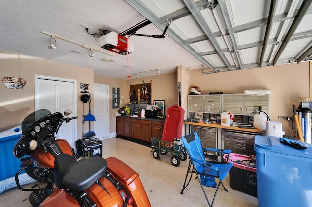 2510 Cross More St, Valrico, FL 33594 - garage with a garage door opener and a workshop area