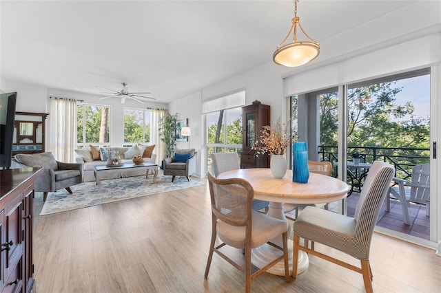 4750 Dolphin Cay Ln S Unit 209, Saint Petersburg, FL 33711 - dining room with ceiling fan and light wood finished floors