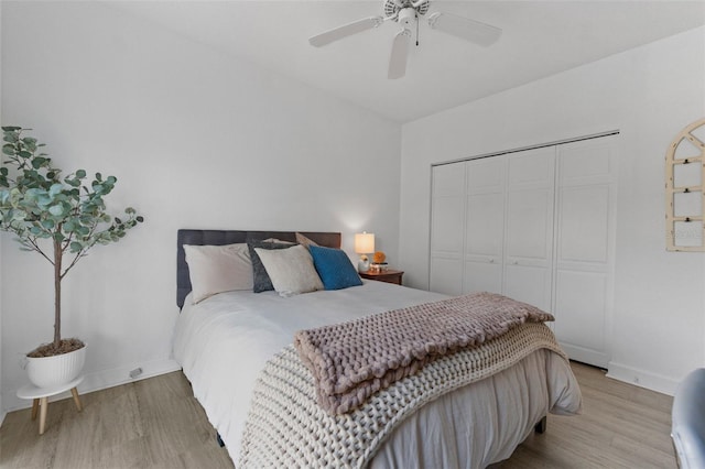 4750 Dolphin Cay Ln S Unit 209, Saint Petersburg, FL 33711 - bedroom with light wood-style floors, a closet, and a ceiling fan