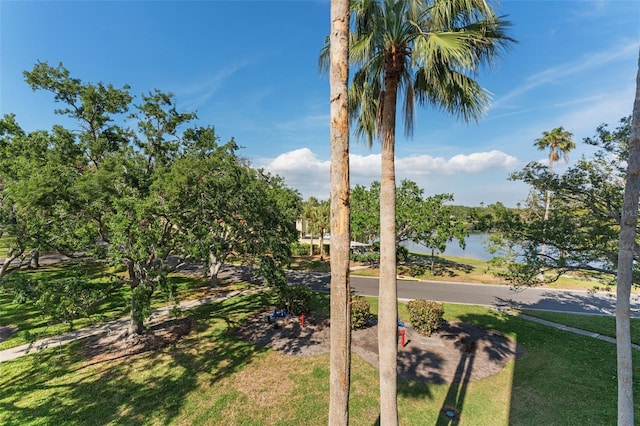 4750 Dolphin Cay Ln S Unit 209, Saint Petersburg, FL 33711 - view of grassy yard with a water view