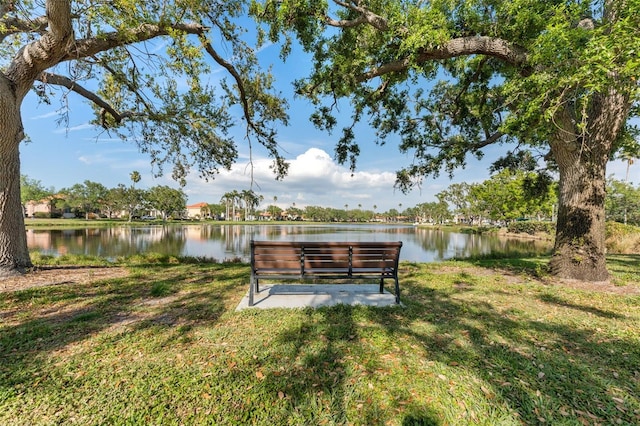 4750 Dolphin Cay Ln S Unit 209, Saint Petersburg, FL 33711 - view of grassy yard with a water view