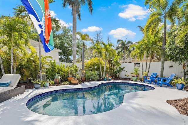 view of pool featuring a fenced in pool, a patio, and a fenced backyard