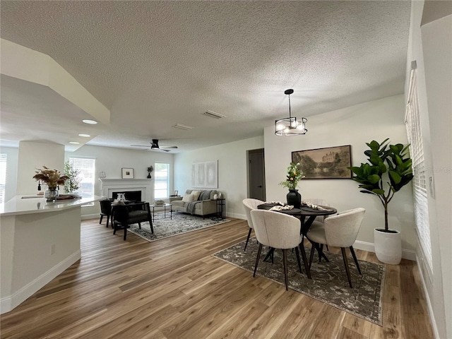 10408 N 50th St Unit 1/2, Tampa, FL 33617 - photo 5