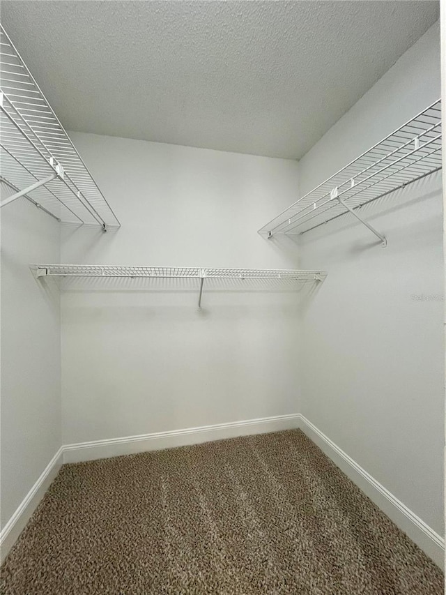 10408 N 50th St Unit 1/2, Tampa, FL 33617 - photo 16