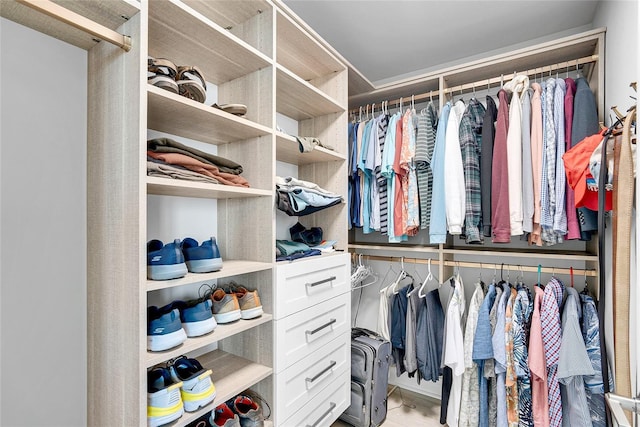 view of spacious closet