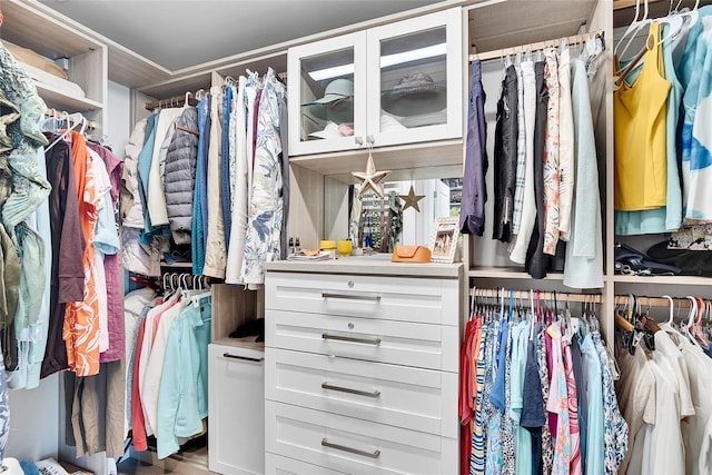 spacious closet with wood finished floors