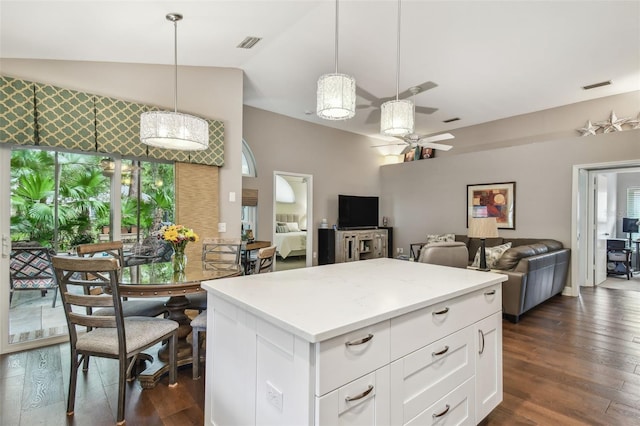 1187 Mistwood Dr, Tarpon Springs, FL 34688 - kitchen featuring open floor plan, a ceiling fan, visible vents, and dark wood finished floors
