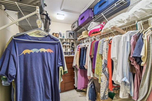 1187 Mistwood Dr, Tarpon Springs, FL 34688 - walk in closet featuring attic access