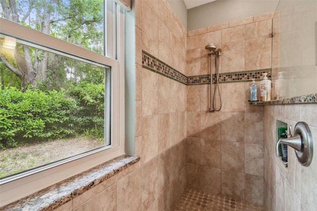 1187 Mistwood Dr, Tarpon Springs, FL 34688 - full bathroom with tiled shower