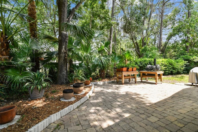 1187 Mistwood Dr, Tarpon Springs, FL 34688 - view of patio / terrace