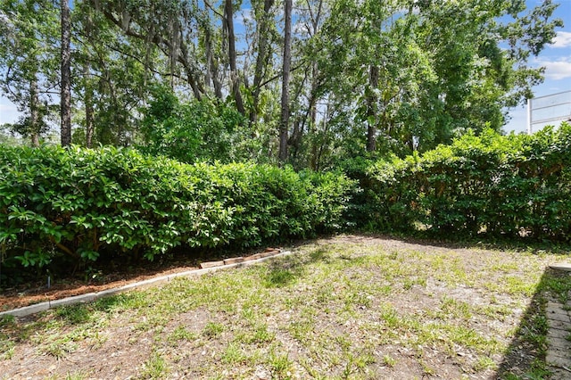 1187 Mistwood Dr, Tarpon Springs, FL 34688 - view of yard