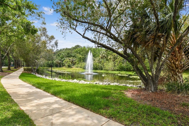 1187 Mistwood Dr, Tarpon Springs, FL 34688 - surrounding community featuring a view of trees and a water view