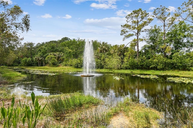 1187 Mistwood Dr, Tarpon Springs, FL 34688 - property view of water featuring a view of trees