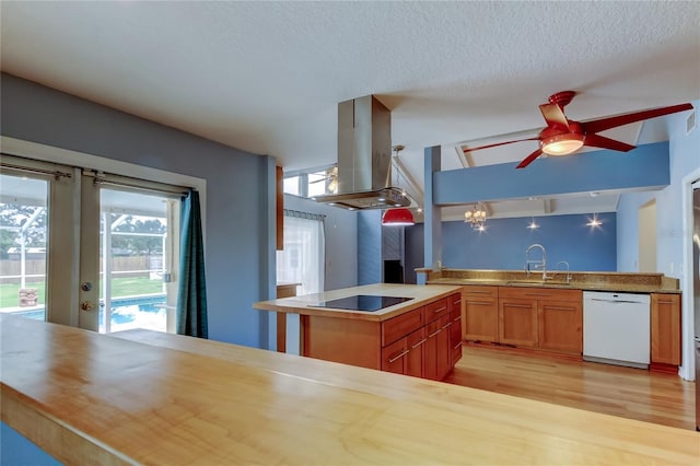 kitchen with a sink, a ceiling fan, dishwasher, black electric cooktop, and island exhaust hood