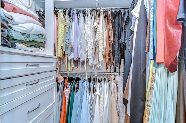 527 S Lincoln Ave Unit A108, Tampa, FL 33609 - view of walk in closet