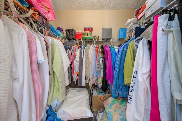 615 Garland Cir, Indian Rocks Beach, FL 33785 - view of spacious closet