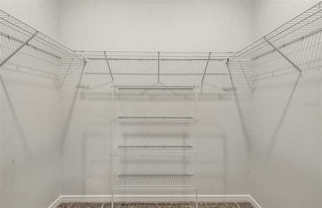 8249 SW 52nd Lane Rd, Ocala, FL 34481 - view of spacious closet