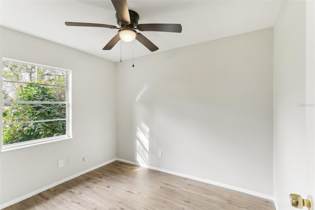 7711 Amherst St Unit A & B, Tampa, FL 33625 - empty room featuring baseboards, light wood finished floors, and a ceiling fan