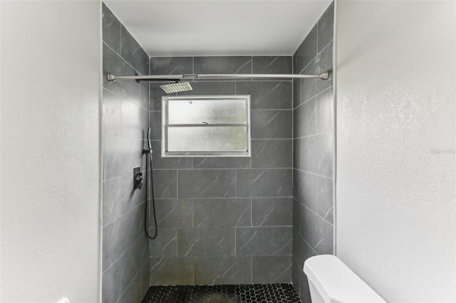 7711 Amherst St Unit A & B, Tampa, FL 33625 - full bathroom with toilet and a tile shower