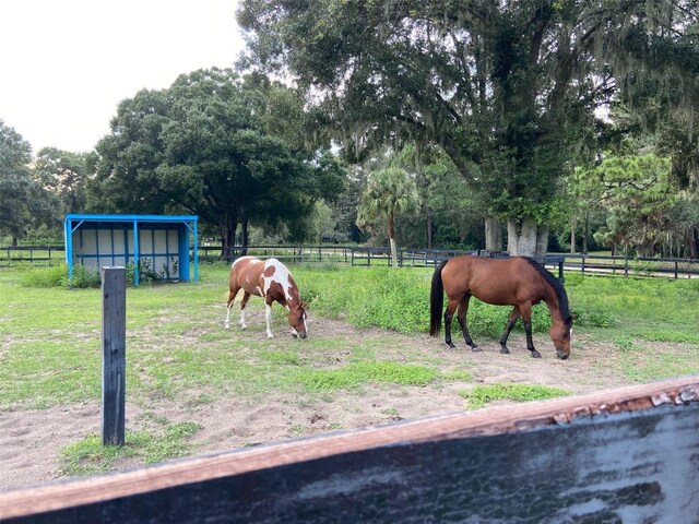 16315 Mcglamery Rd, Odessa, FL 33556