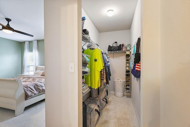 14426 Haddon Mist Dr, Wimauma, FL 33598 - walk in closet with a ceiling fan and carpet