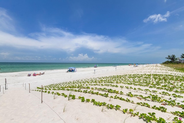 19816 Gulf Blvd Unit 201, Indian Shores, FL 33785 - view of water feature featuring a view of the beach