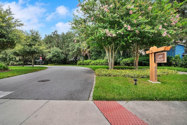 14241 Natures Reserve Dr, Lithia, FL 33547 - surrounding community with a lawn