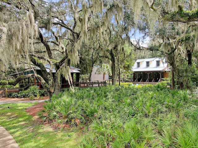 14241 Natures Reserve Dr, Lithia, FL 33547 - view of yard