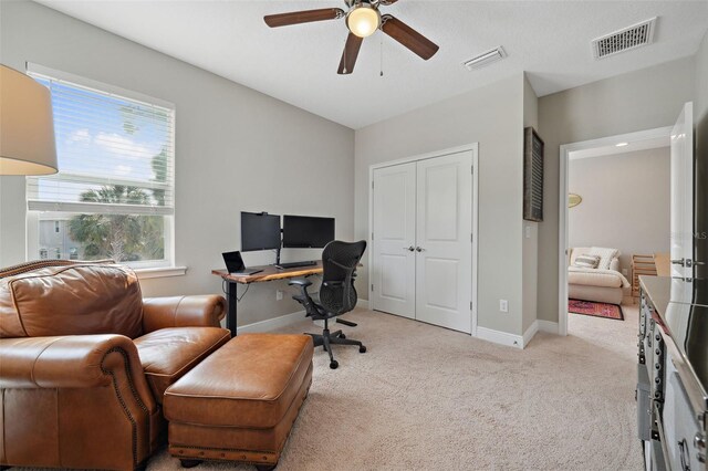 2904 W Averill Ave, Tampa, FL 33611 - photo 31