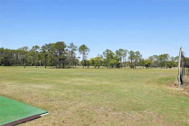 3252 Scorecard Dr, New Port Richey, FL 34655 - view of yard