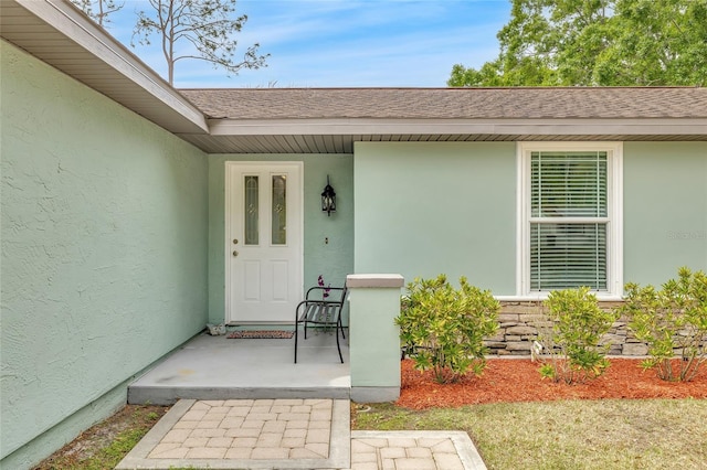 5317 Black Pine Dr, Tampa, FL 33624 - photo 3