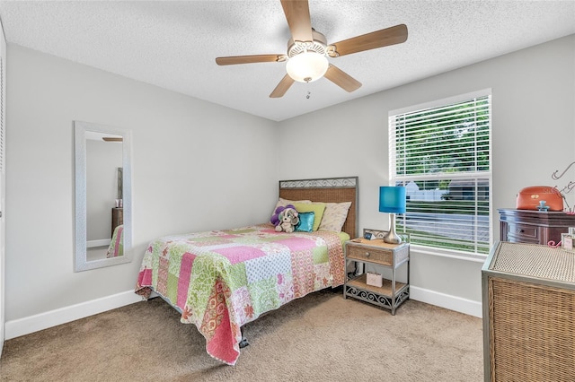 5317 Black Pine Dr, Tampa, FL 33624 - photo 22